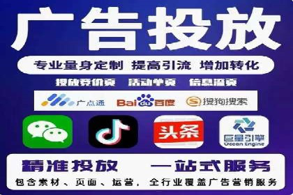 案例分析：高效信息流广告投放策略